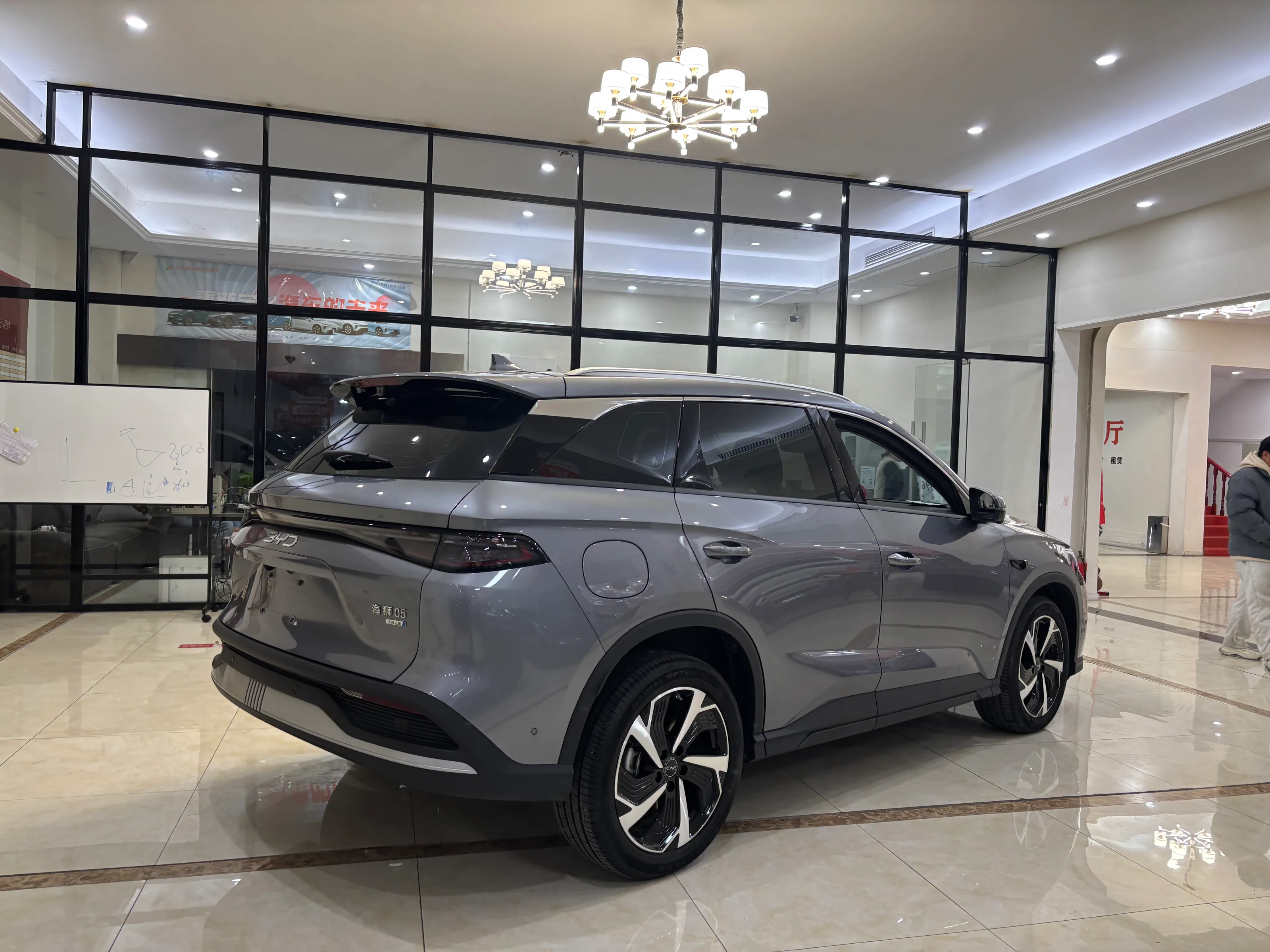 Sealion 05 DM-i Smart Drive 115km Flagship Edition 4