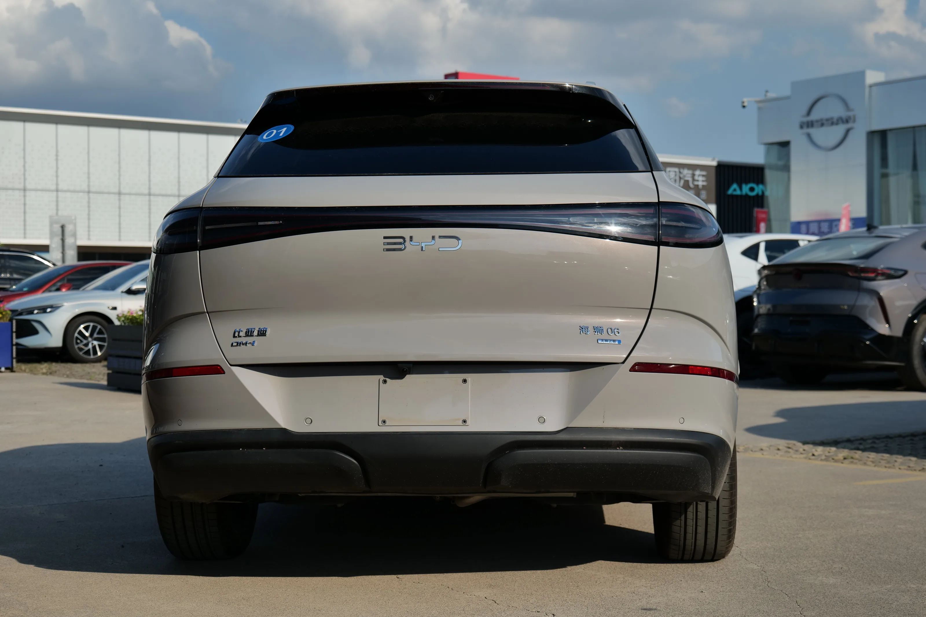 Sealion 06 DM-i 205km Pilot Plus 8