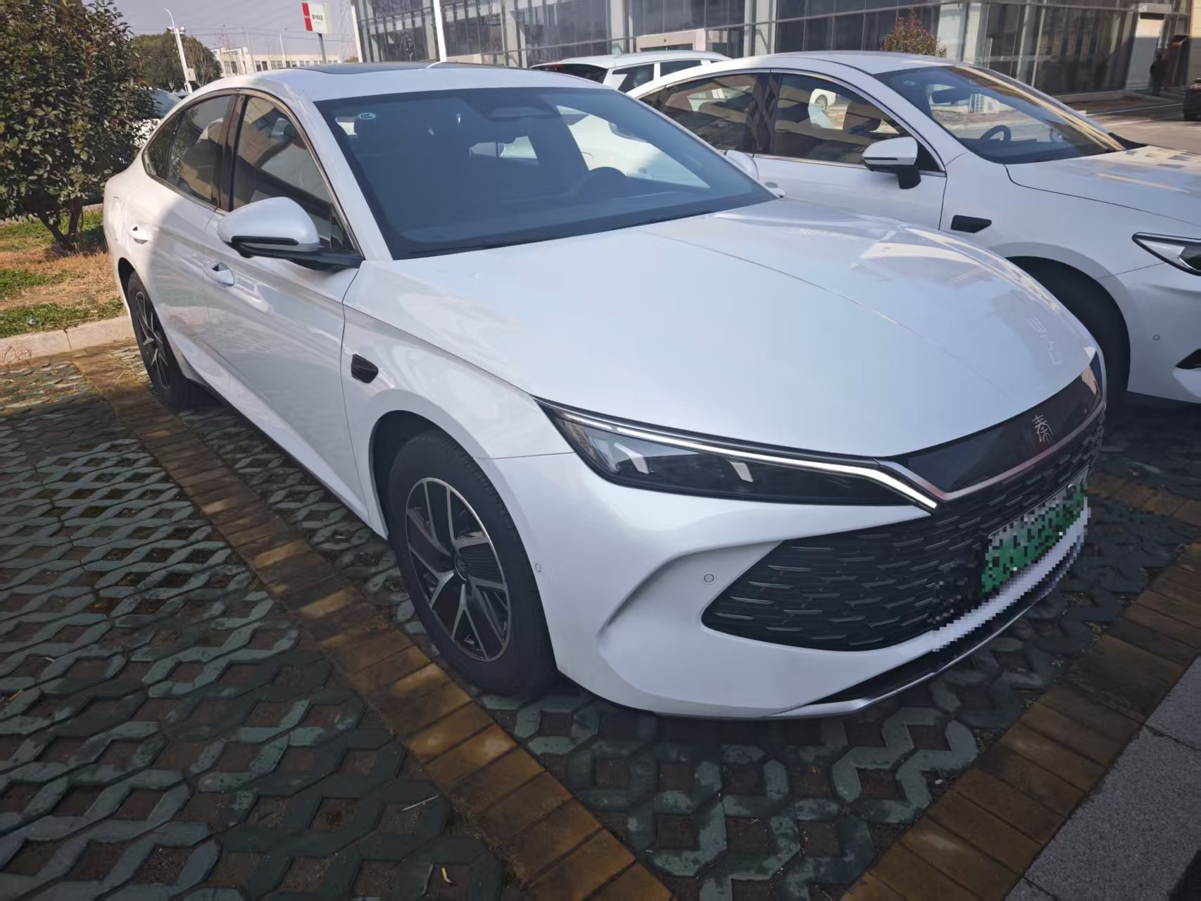 Qin L DM-i 120KM Beyond Edition 2