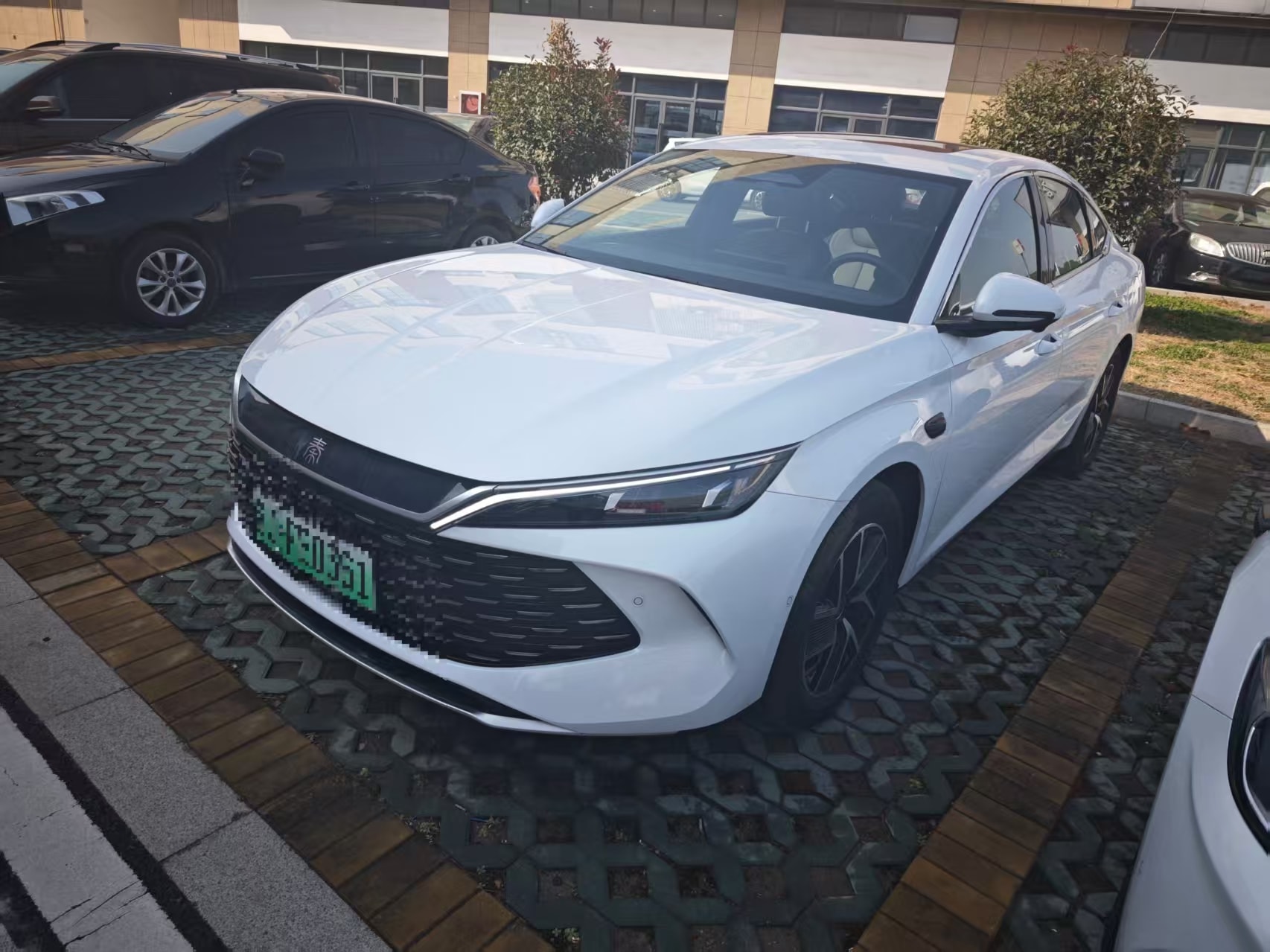 Qin L DM-i 120KM Beyond Edition 3