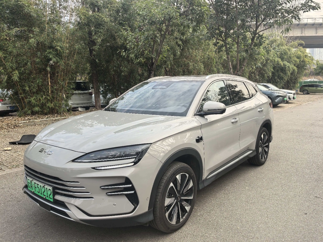 Song PLUS DMI 160 Intelligent Driving Flagship Edition
