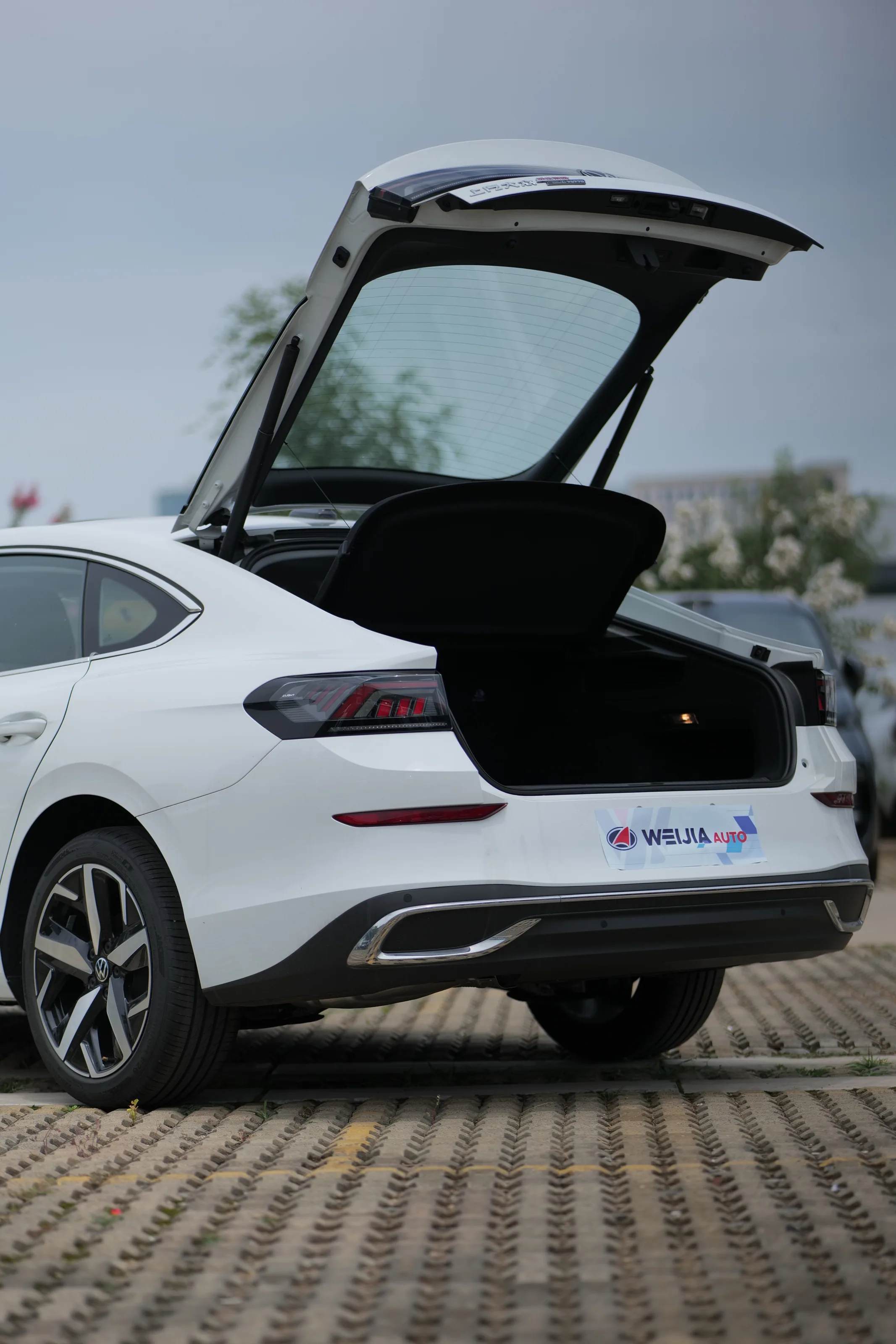 Volkswagen Lamando L 8